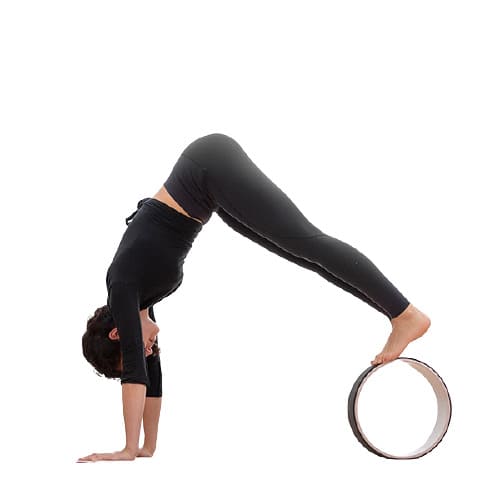 Yoga-Rad Rodha - hilft der Yoga-Session bei komplexen Körperhaltungen