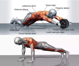 Bauchroller - Effektives Bauch- und Core-Training zuhause