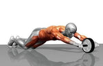 Bauchroller - Effektives Bauch- und Core-Training zuhause