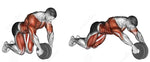 Bauchroller - Effektives Bauch- und Core-Training zuhause